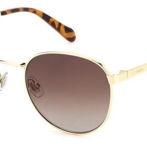 Fossil sunglasses south africa online